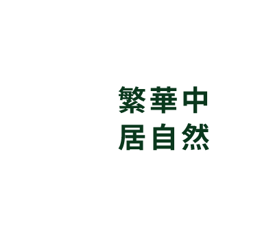 夢幻生活匯聚 觀音市心璀璨黃金座標
